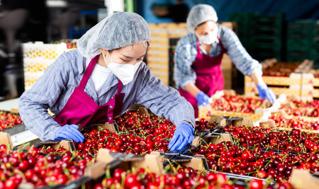 Women in cherry warehouse with mask
