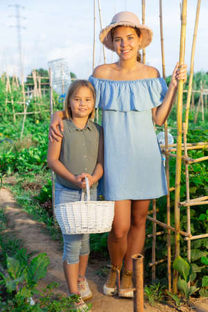 Portrait of mom with little daughter on farm fieldの写真素材
