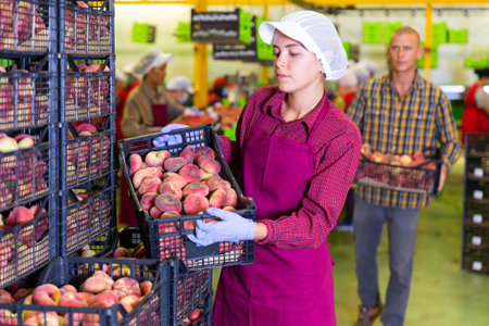 European Woman and man working