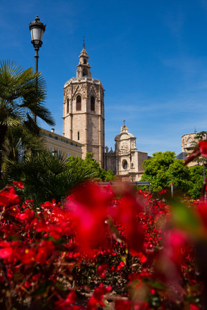 The Valencia Cathedral church building and Placa Reina with flowers