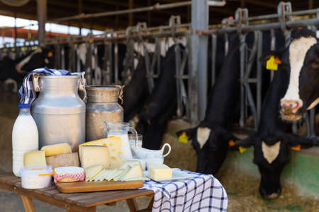 Image of dairy products on the farmの写真素材
