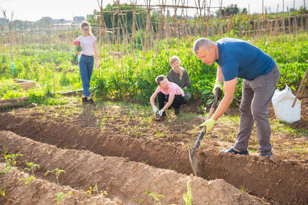 Man gardener digging soil in vegetable gardenの写真素材