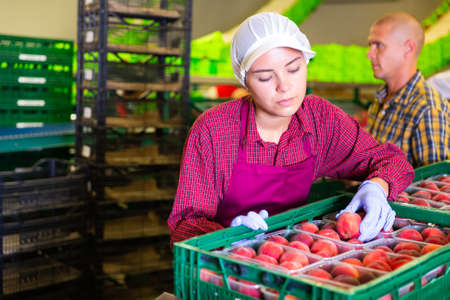 European Woman and man workingの写真素材