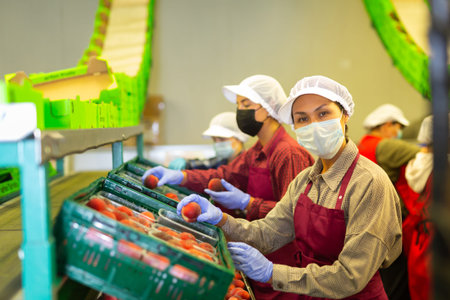 Hired farm worker in protective mask checks and sorts peaches in warehouse