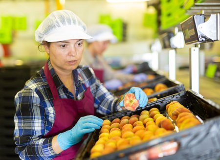 European female employee working