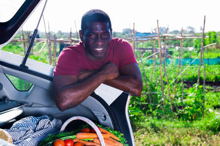 Man packing harvested vegetables in car trunkの写真素材