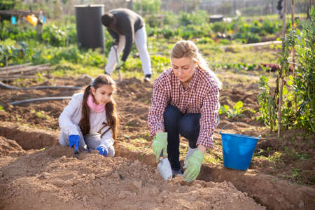 woman gardener and little girl planting seedlingsの写真素材