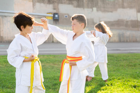 Tweens mastering karate techniques in pairs on green lawn