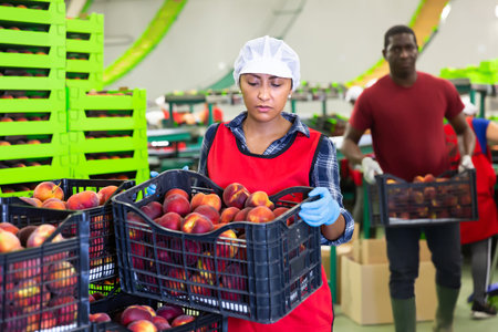Adult woman and man holding crate of peaches