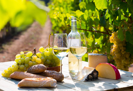 Still life with wine, grapes and cheese at table in vineyardsの写真素材