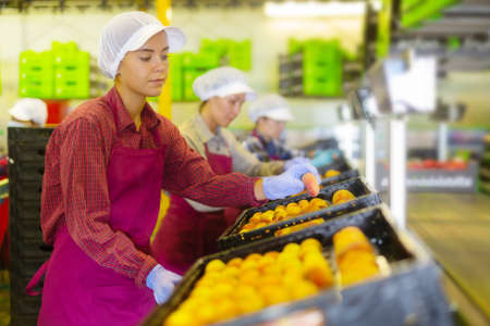 Three women working in sorting roomの写真素材
