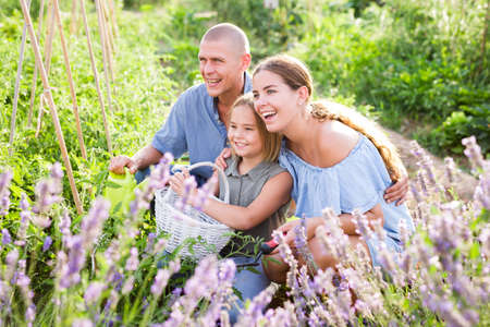 Portrait of family with their little daughter at their farm fieldの写真素材
