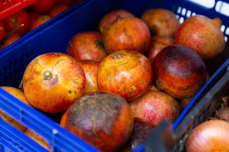 Close up of pomegranates in supermarketの写真素材