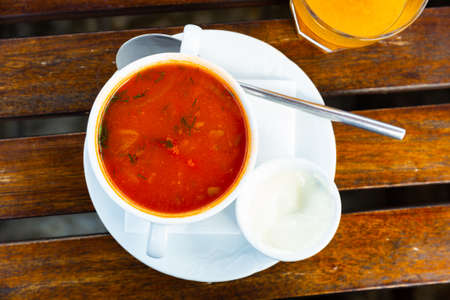 Russian meat soup Solyanka with assorted meatの写真素材