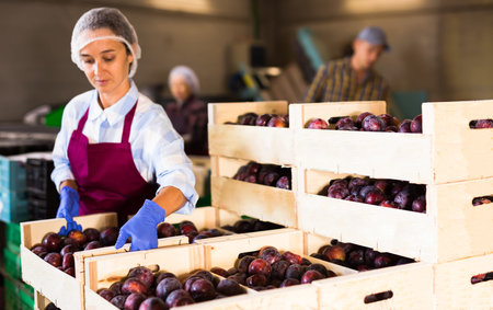 Woman holding crate with plums at warehouse