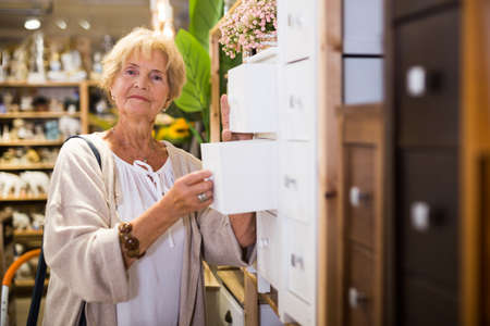 Female shopper choosing dressing table in furniture shopの写真素材