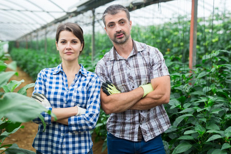 Portrait of positive married couple in greenhouseの写真素材