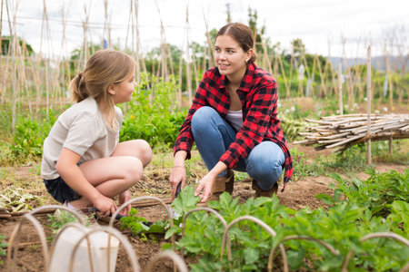 Woman working with daughter at family gardenの写真素材