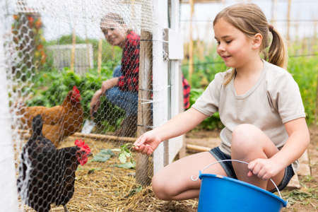 Mom and her daughter feed chickens in chicken coop in backyard of country houseの写真素材