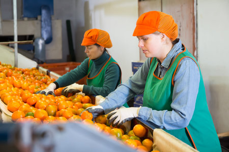 Two nice women working on citrus sorting line