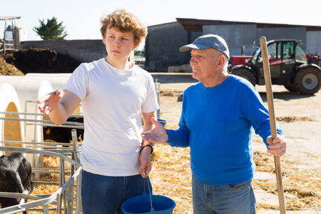 Elderly farmer teaches young grandson to care for calves on farm