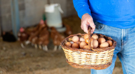Hand holding basket of eggs