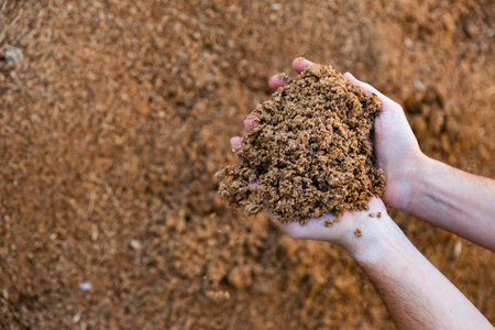 Brewers feed in hands