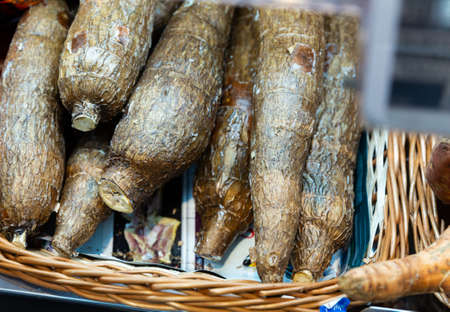 Bunch of cassava tubersの写真素材