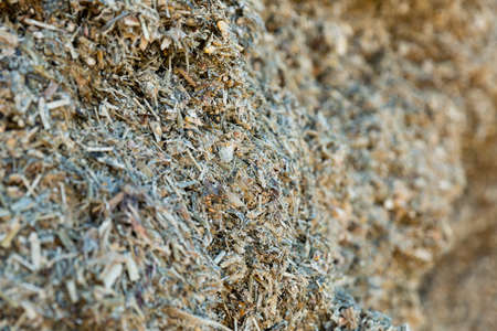 Pressed maize silageの写真素材