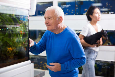 Positive mature man chooses aquarium fish in pet shopの写真素材