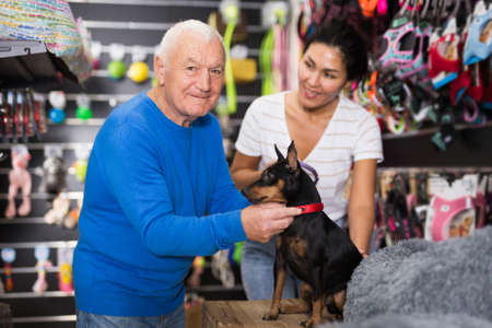 Woman choosing collar for her dog in pet shopの写真素材