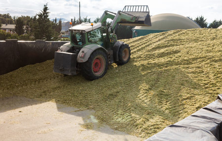 Harvesting of silage