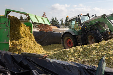 Tractor with front bucket forming heap of chopped feed maizeのeditorial素材