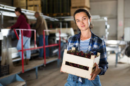 Portrait of a farmer woman standing in the warehouse, holding a crate with cherriesの写真素材