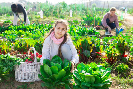 Teenage farmer girl posing with gathered vegetablesの写真素材