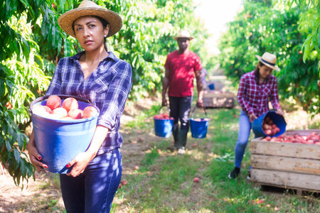 Successful hispanic female owner of orchard with bucket of peaches