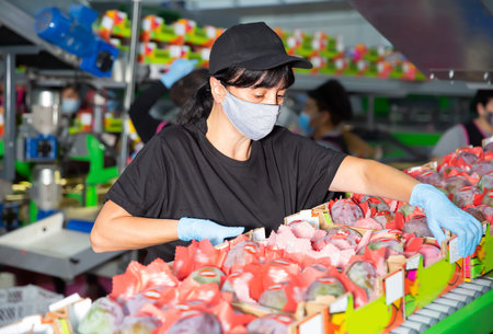 Young woman in mask during packaging mango