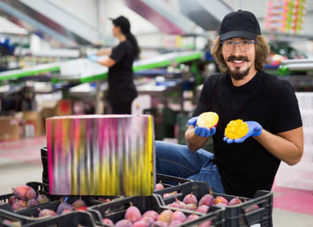 Positive man with mango slices in hands at food factory warehouseの写真素材