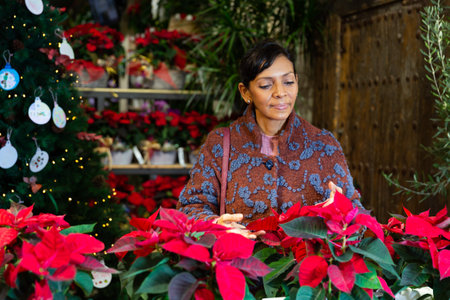 Female choosing poinsettia foliage at flower shopの写真素材