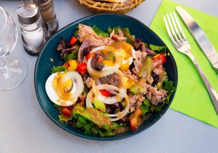 Portion of nicoise saladの写真素材