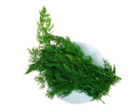 Fresh dill sprigsの写真素材