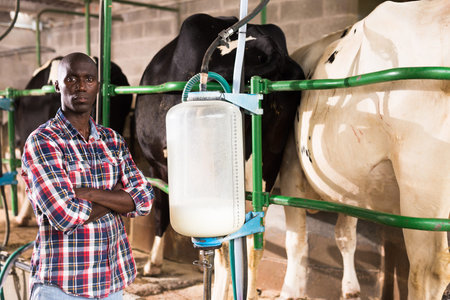Milkmaid man staning close to automatical cow milking machinesの写真素材