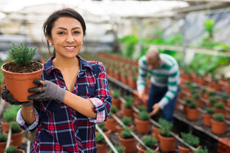 Portrait of female farmer engaged in cultivation of plantsの写真素材