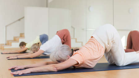 Female group perform asanas for yoga in comfortable classroomの写真素材