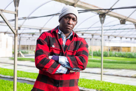 Portrait of an african american man farmerの写真素材