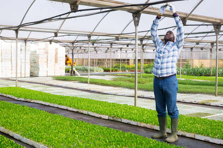 Gardener checking advanced system of irrigationの写真素材