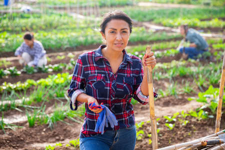 Female farmer with shovel in the backyard of armの写真素材