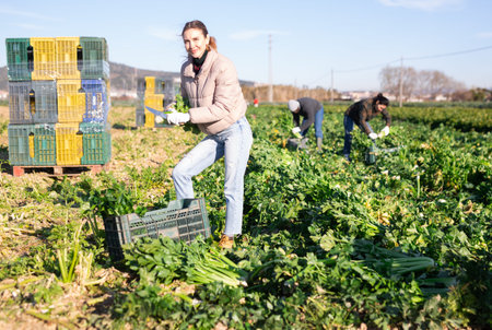 Smiling young woman farmer harvesting celery on field in spring