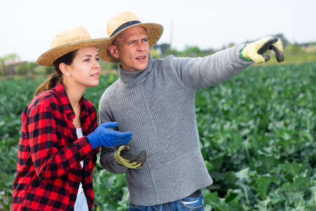 Man and woman talking at farm fieldの写真素材