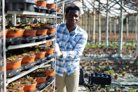 Portrait of an african american man farmer near a rack